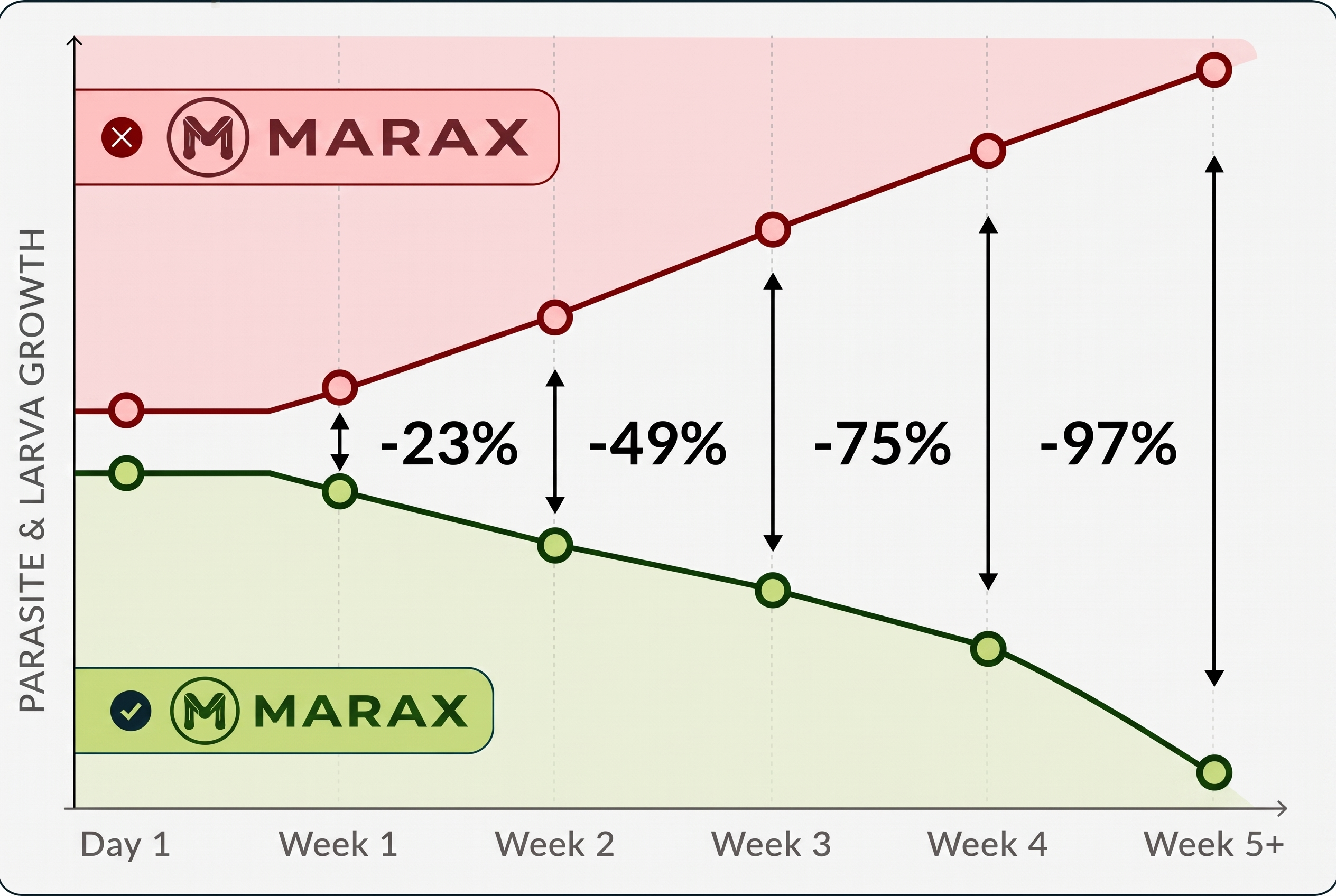 Parasite and larva growth with and without MARAX